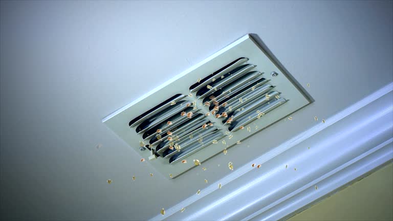 Best HVAC Air Duct Cleaning  in Fort Bragg, CA