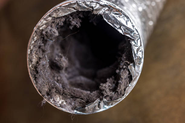 Best Air Duct Cleaning Company Near Me  in Fort Bragg, CA
